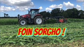 Foin de sorgho 2019 [upl. by Neros155]