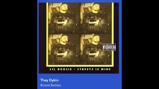 Lil Boosie They Dykin Karaoke Boosie Badazz [upl. by Norita703]