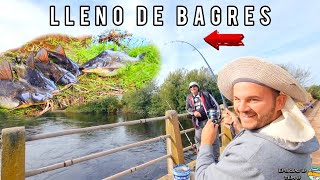 Pesca y aventuras en PUENTE CAMBALACHE y nicolini muchos bagres en este arroyo gratis MJPESCA [upl. by Harman614]