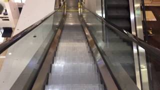 2017 Retake Schindler Escalators At Dillards Florida Mall In Orlando FL [upl. by Neelac770]