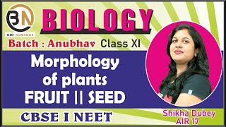 MORPHOLOGY OF FLOWERING PLANTS FRUIT  SEED  CLASS XI BIOLOGY NEET 2025 ANUBHAV [upl. by Franciscka]