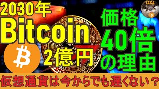 【ビットコイン価格40倍】2030年1BTC2億円の理由。仮想通貨は今からでも遅くない？ [upl. by Shelli]