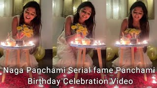 Naga Panchami Serial fame Panchami Darshini Gowda Birthday Celebration Video [upl. by Ursal184]