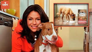 Rachael Ray’s Dog Food Controversy Recall amp Reviews [upl. by Niltak487]