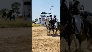 Neza bazi horses nezabaziinpakistan horses ghora ghoda tentpegging sports games shorts [upl. by Idnim524]