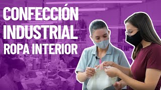 😮 Así se Confecciona ROPA INTERIOR en cantidad  Taller de confección industrial [upl. by Milburt]