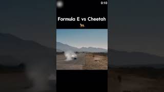 Cheetah vs formula e race🐆 [upl. by Erdua]