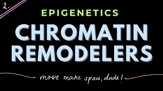 Chromatin Remodeling complexes Part 2  Epigenetics  GATECSIRNET [upl. by Niloc]