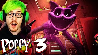 Poppy Playtime Chapter 3 is INSANE Full Game [upl. by Lairbag]