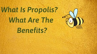 What Is Propolis What Are The Benefits Side Effects Of Propolis Usage Areas Of Propolis [upl. by Constantin]