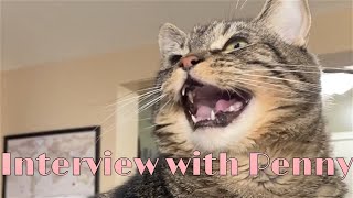 Q amp A with Penny the talking cat [upl. by Pownall]