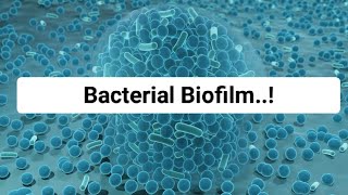 Bacterial Biofilm [upl. by Henricks]