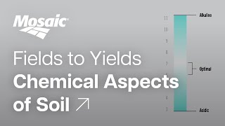 Fields to Yields  Chemical Aspects of Soil [upl. by Mis]