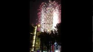 Taipei 101 New Year Fireworks 2013 [upl. by Raddatz]