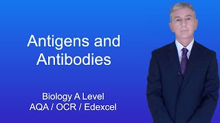 A Level Biology Revision quotAntigens and Antibodiesquot [upl. by Matthieu96]