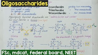 Oligosaccharides class 11  Oligosaccharides structure  carbohydrates [upl. by Ylaek853]