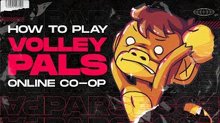 How to Play Volley Pals Online [upl. by Ojeibbob]