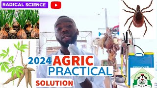 NECO 2024 AGRIC PRACTICAL QUESTION AND ANSWERS tutorial [upl. by Maxma]