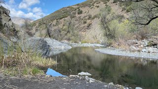 Scouting Trout Fishing Locations In Mendocino National Forest [upl. by Savdeep]