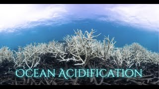 Ocean Acidification PSA [upl. by Eico343]