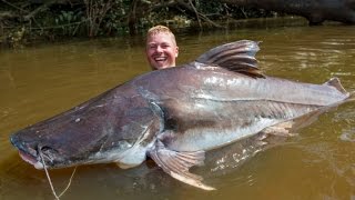 Mein erster Piraiba  Suriname 2014 Vlog 6  Goliath Catfish  wwwzeckfishingcom [upl. by Ayvid301]