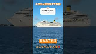 宮古島クルーズ船宮古島vlogニモちんトラベラーニモちん宮古島スポットコスタセレナ [upl. by Eilyab]