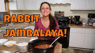 Rabbit Jambalaya Cooking with Rabbit Meat [upl. by Luckett339]