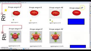 Groupes sanguins  les agglutinogènes [upl. by Atir]
