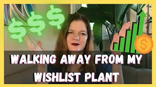 5 Reasons Why Plants Are Getting So Expensive  Do Rare Plants Cost Too Much  Soiled Plant [upl. by Nilyram437]