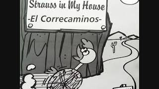 Happy 92 ‎–Strauss In My HouseEl Correcaminos– Strauss In My House  El Correcaminos [upl. by Ihtac]