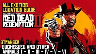 Red Dead Redemption 2 ★ Stranger Duchesses And Other Animals All Exotics Location Guide [upl. by Alessig]