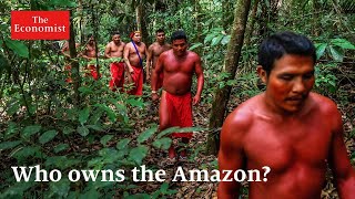 How the Amazon became a Wild West of landgrabbing [upl. by Aikahc262]