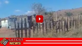 ZCC Moholo running around naked after burning church uniform [upl. by Lazar]