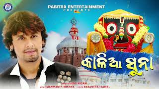 Tu Aa Re Kalia Suna  Odia Jagannath Bhajan  Sonu Nigam  New Odia Bhajan odiabhaktisagar [upl. by Demha]