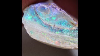 Australian Lightning Ridge Fossil Rough Opals  57 CTs of Pure Color Old Mined  Collectors Piece [upl. by Orfield]