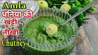 Amla Dhania Chutney Recipe  Healthy Coriander Amla Chutney  Quick amp Easy Chutney Recipe l [upl. by Doro]