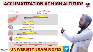 Acclimatization  Changes at High Altitude  Respiratory System physiology [upl. by Adrienne]