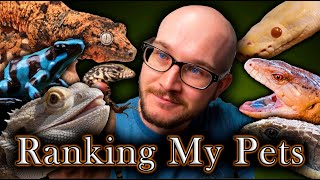 My Worst Pets Ranking All My Pets  Reptile Tier List [upl. by Yenffad]