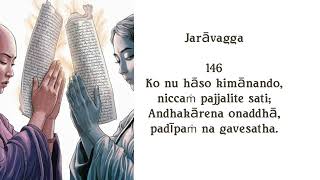 Jaravagga I Usia Tua 146 [upl. by Heer355]