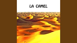 La camel [upl. by Warton]