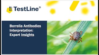 Borrelia Antibodies Interpretation Expert Insights [upl. by Asenav]