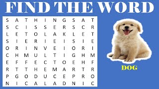 Word Game  Word Search  Puzzle  Find the Hidden Words  Word search finder  Find Words 10 [upl. by Martin]