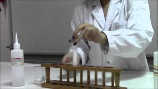 CHEMISTRY Cation Test for Ca2 using NaOH and NH4OH [upl. by Dett24]