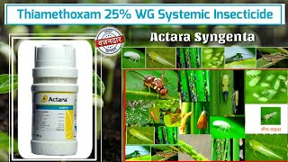 Thiamethoxam 25 WG  Actara Syngenta  Systemic insecticide Insecticide  कीटनाशक [upl. by Kiehl981]