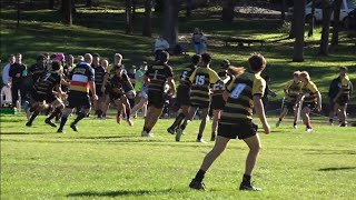 Silverbacks v Wharoonga U16s [upl. by Annoid]