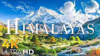 HIMALAYAS IN 4K DRONE FOOTAGE ULTRA HD  Beautiful Scenery Footage UHD [upl. by Arnuad]