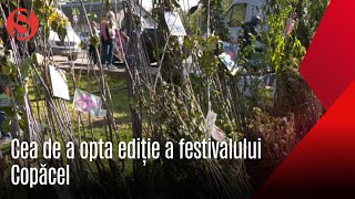 Festivalul Copăcel de la Zaim a ajuns la cea de a opta ediție [upl. by Maddy]