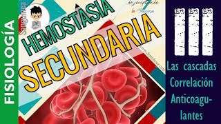 HEMOSTASIA SECUNDARIA TEORIA ANTERIOR DE LA COAGULACIÓN CASCADAS FISIOLOGÍA SanguineaP3 [upl. by Eidnil]