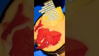 Fresh tomatoes amp frozen mango yalondalifestory [upl. by Anjela153]