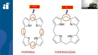 porfirinas y pigmentos biliares II Síntesis del Hem [upl. by Homovec]